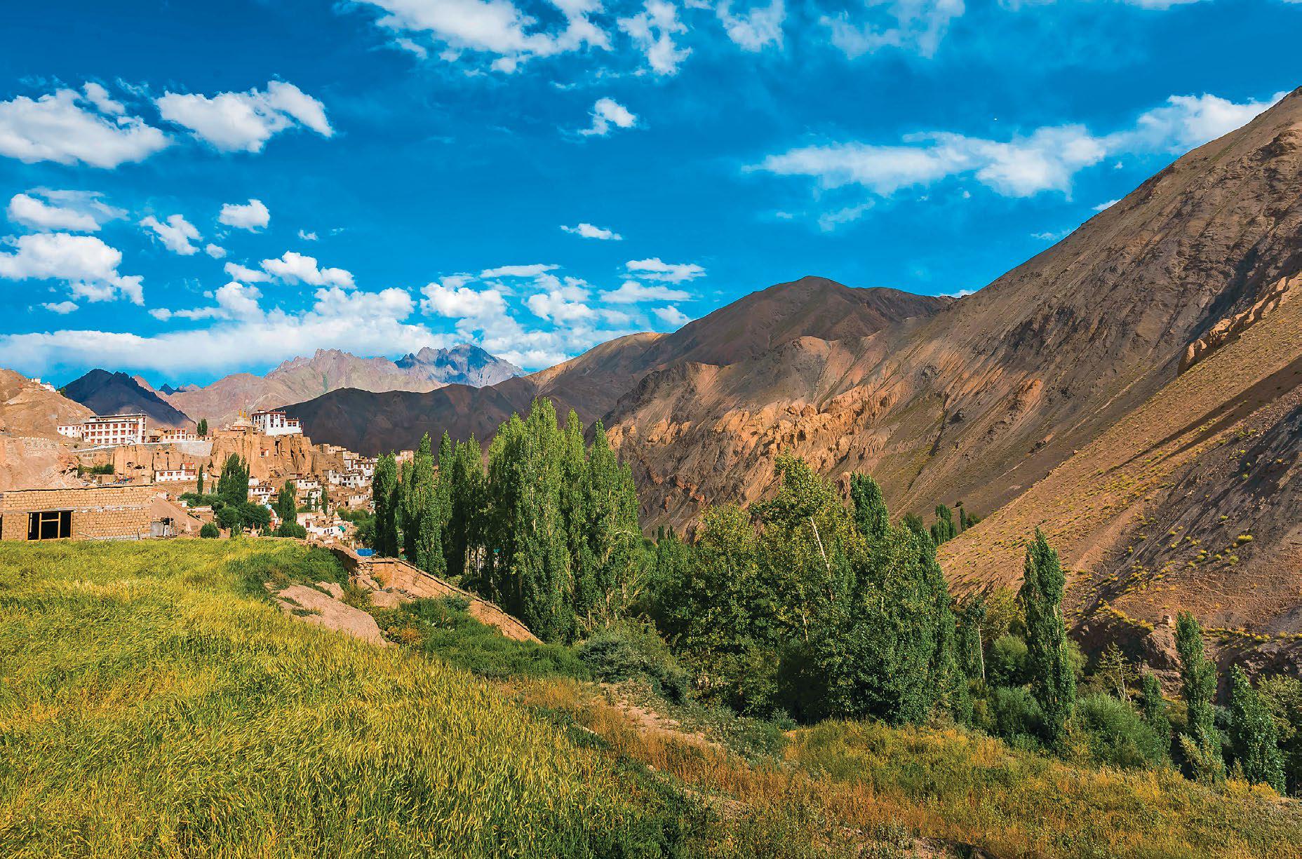 VALLEY OF WONDER